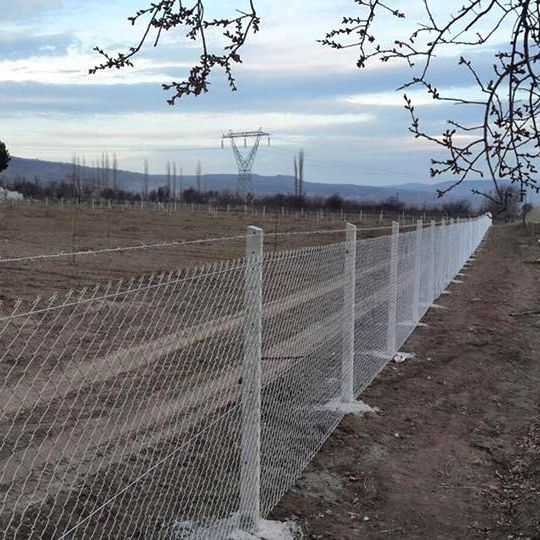 200cm Düz