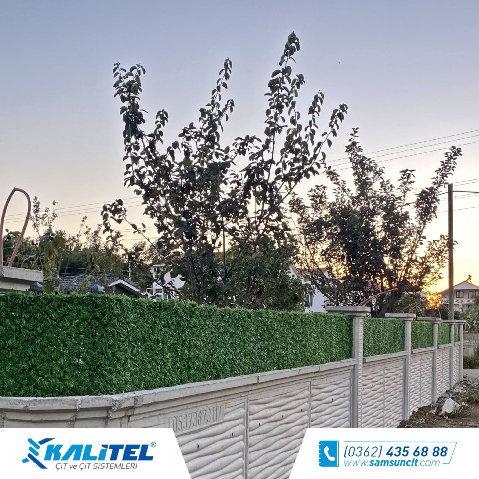 Dr. Saadettin Bayçelebi