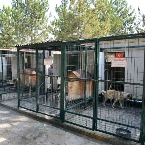 Hayvan Barınakları