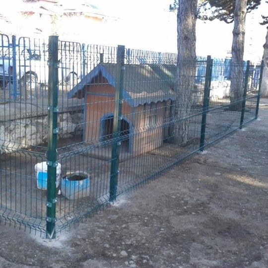 Hayvan Barınakları