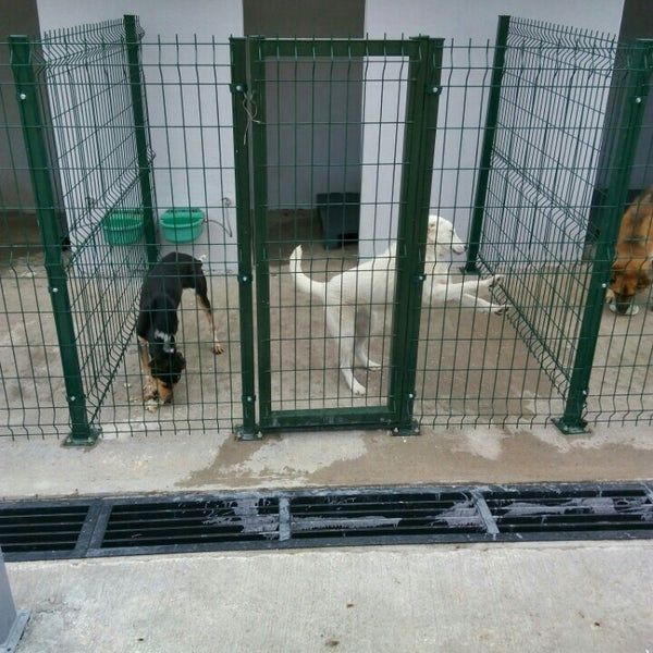 Hayvan Barınakları