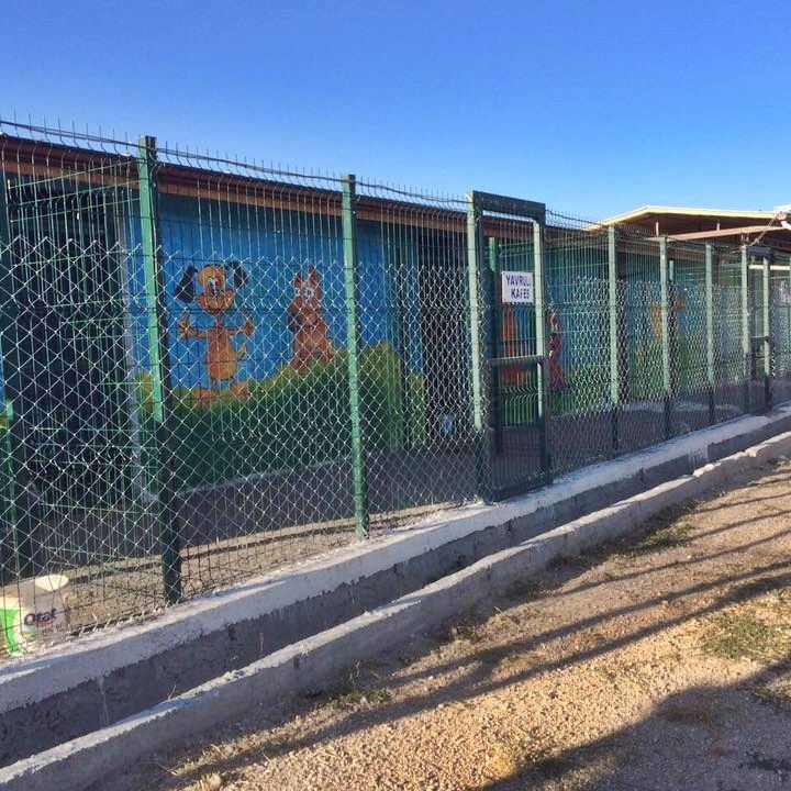 Hayvan Barınakları