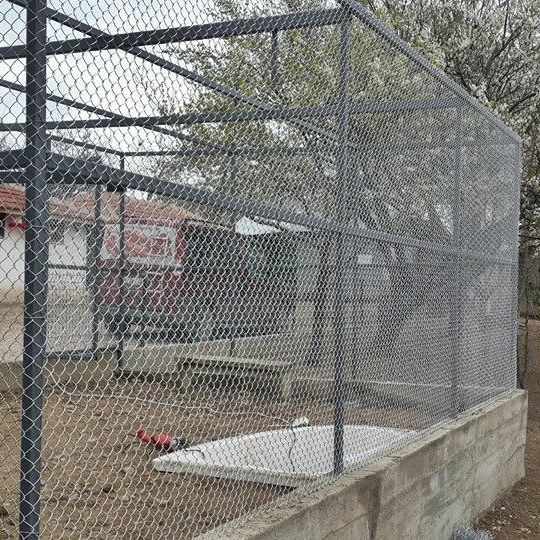 Hayvan Barınakları