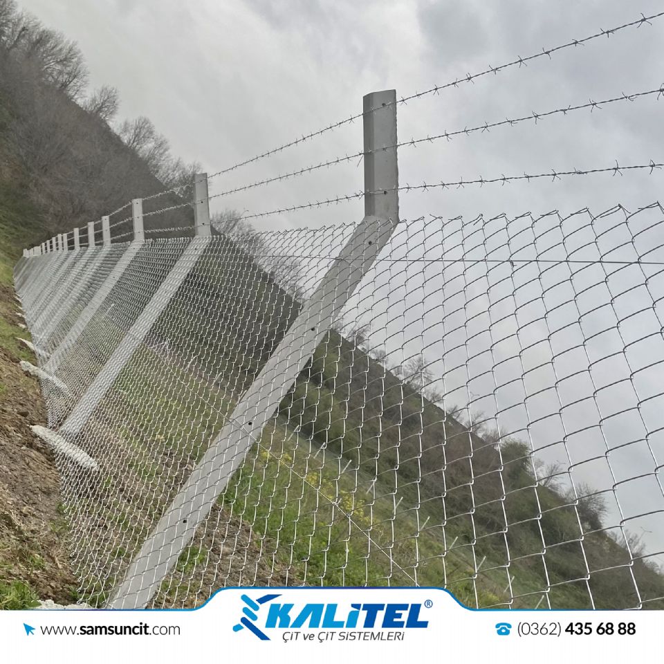 Prof.Dr.Aydın Mungan