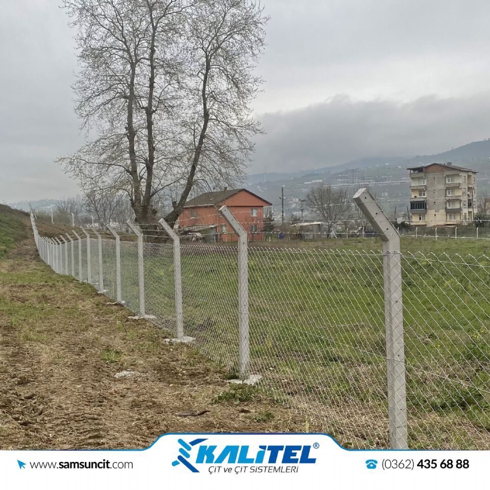 Prof.Dr.Aydın Mungan