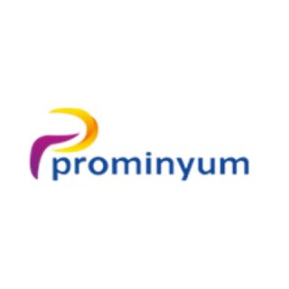 Prominyum Aliminyum Ltd.Şti.